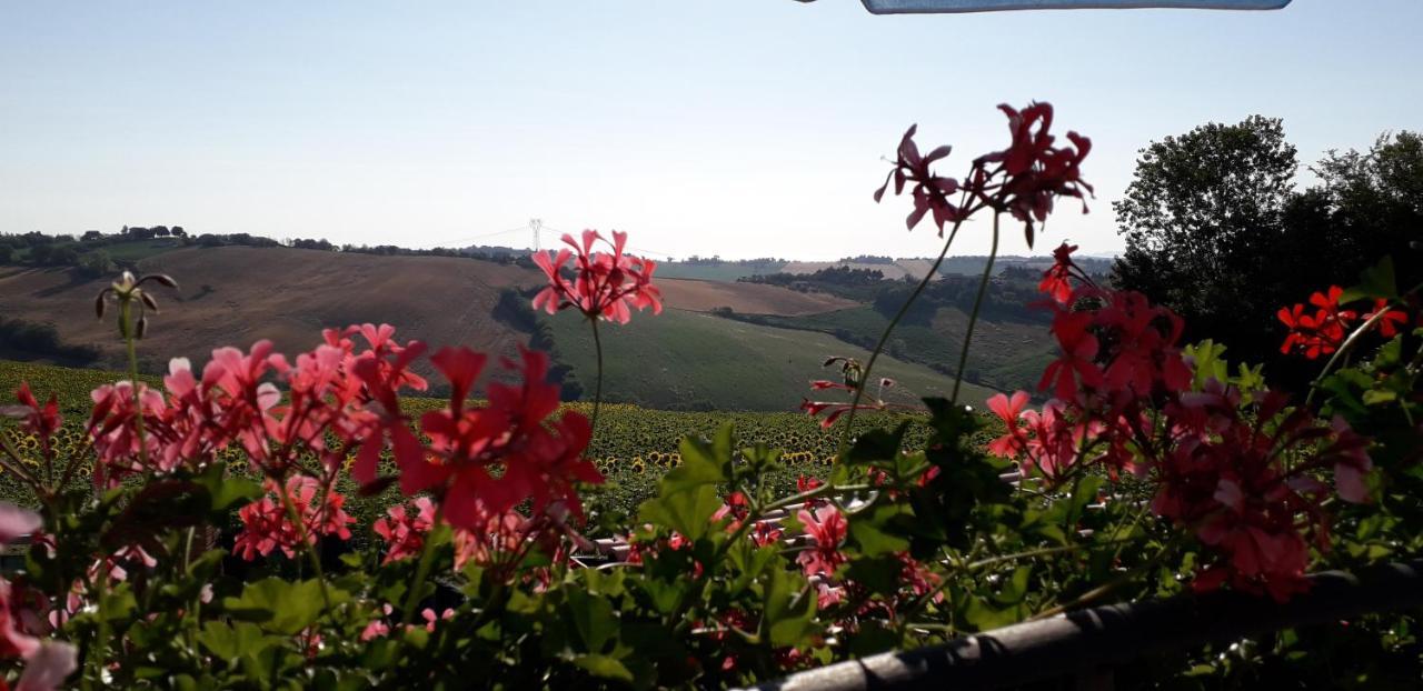 Lo Scrigno Di Simon Bed & Breakfast Senigallia Luaran gambar
